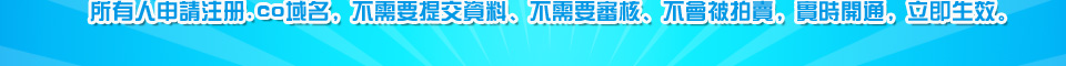 新域名.co隆重開賣，特價218HKD